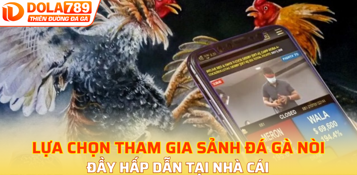 Lựa chọn tham gia sảnh đá gà nòi hấp dẫn