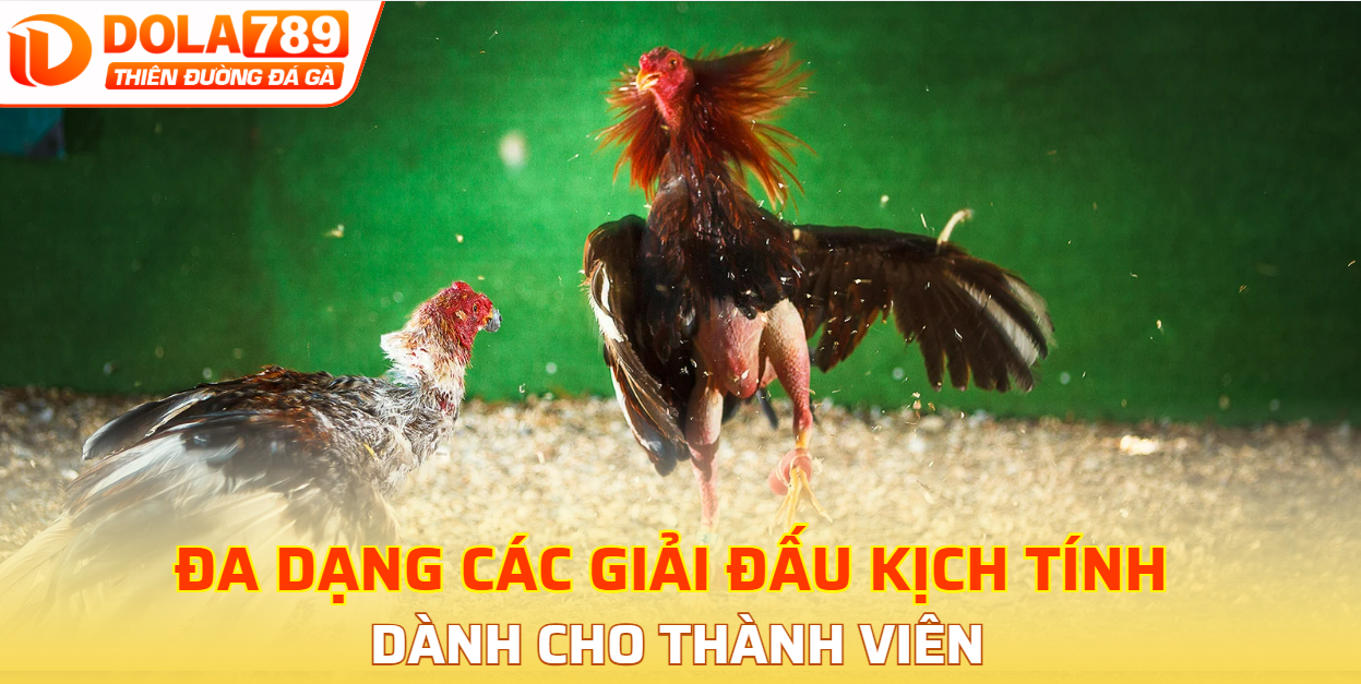 Đa dạng các giải đấu kịch tính cho thành viên