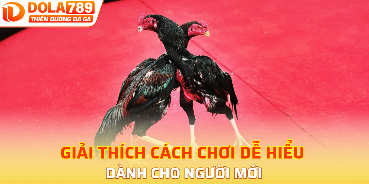 Giải thích cách chơi dễ hiểu cho người mới