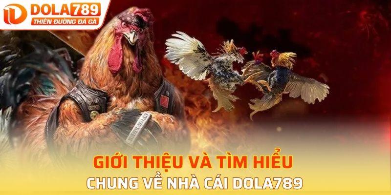 Giới thiệu và tìm hiểu chung về nhà cái DOLA789