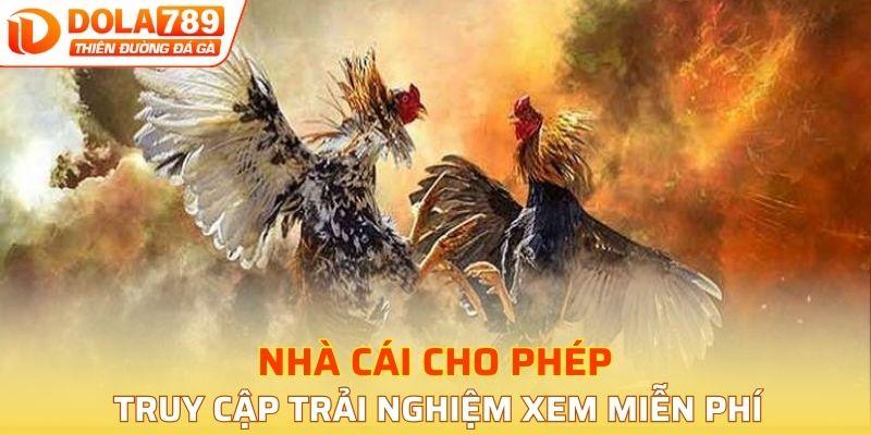 Nhà cái cho phép truy cập trải nghiệm xem miễn phí