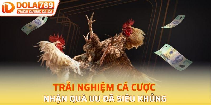 Trải nghiệm cá cược nhận quà ưu đã siêu khủng