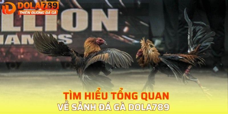 Tìm hiểu tổng quan về sảnh đá gà DOLA789