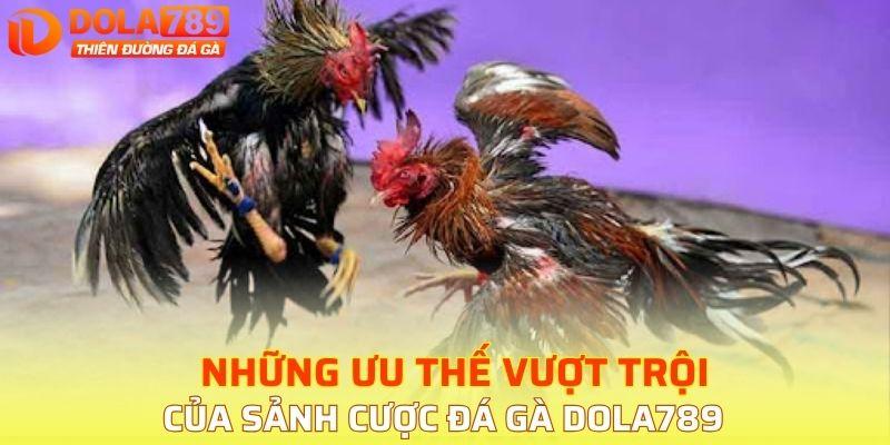Những ưu thế vượt trội của sảnh cược đá gà DOLA789
