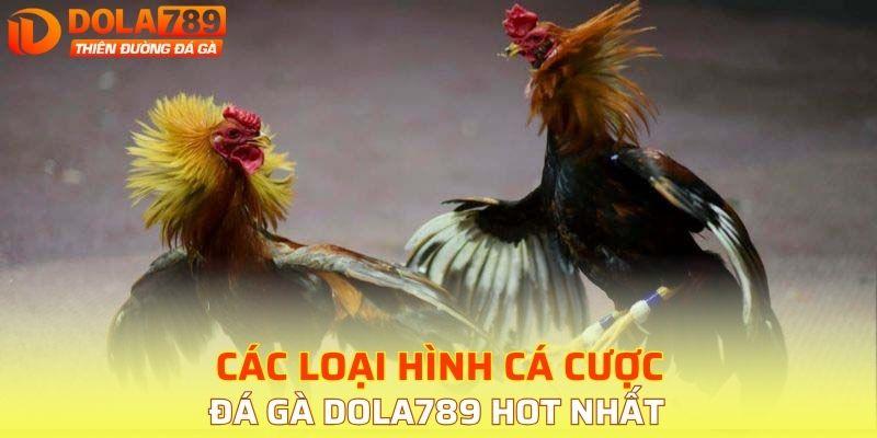 Các loại hình cá cược đá gà DOLA789 hot nhất